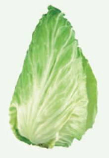 Pain de Sucre